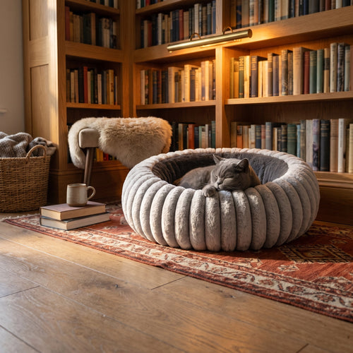 Cat asleep in the Light Grey NUZZO bed